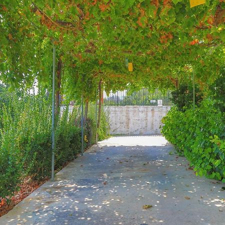 Villa Aphrodite Finiki Polis Luaran gambar